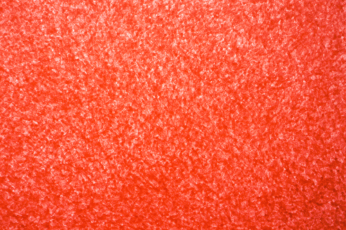 2009年「服部正志展」