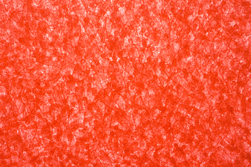 2009年「服部正志展」