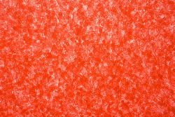 「ク　ウ」　ギャラリーアーティスロング/ 京都　ヒト