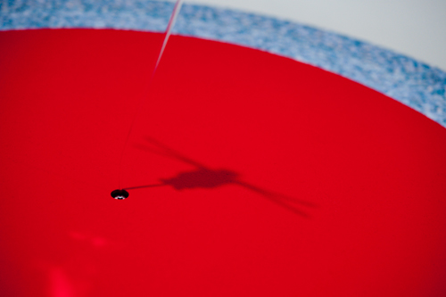 2009年「服部正志展」