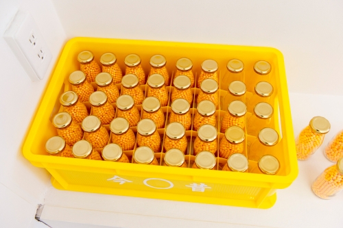 ２０１３年「今 ◯ 私 ◯ 昔 ◯ 私」