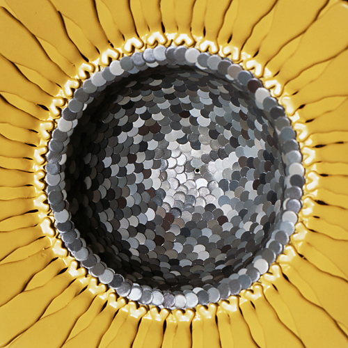 ２００６年「すきま・・・・・・間」