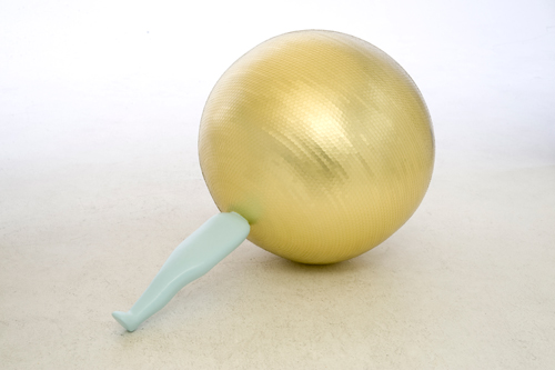 ミドリ○ヒト○マワル