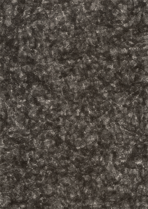 ヒト○ケース○ヒト