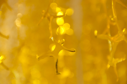 ２０１２年「ART OSAKA 2012」